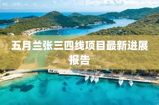 五月兰张三四线项目最新进展报告