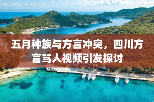 五月种族与方言冲突，四川方言骂人视频引发探讨
