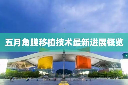 五月角膜移植技术最新进展概览
