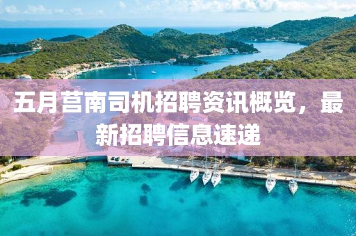 五月莒南司机招聘资讯概览，最新招聘信息速递