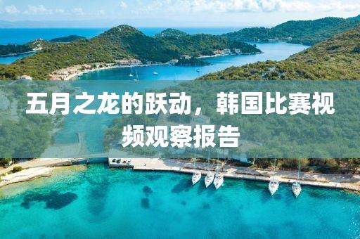 五月之龙的跃动，韩国比赛视频观察报告