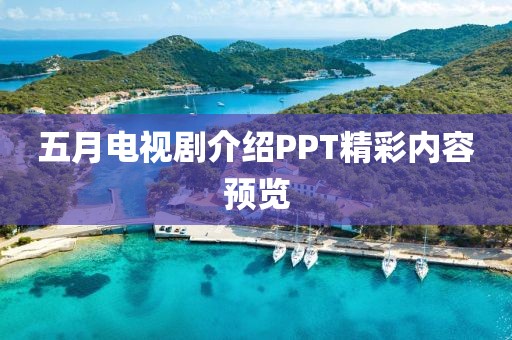 五月电视剧介绍PPT精彩内容预览