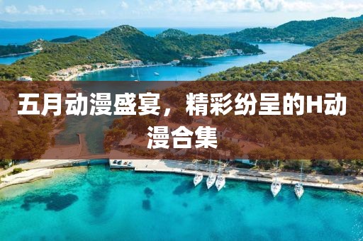 五月动漫盛宴，精彩纷呈的H动漫合集