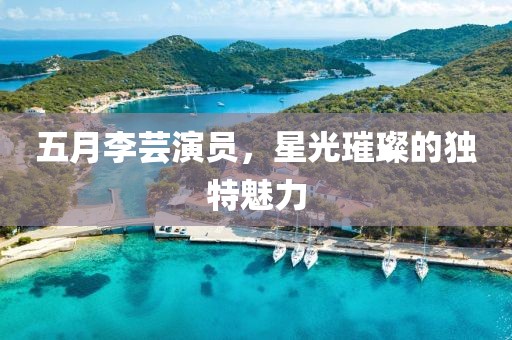 五月李芸演员，星光璀璨的独特魅力