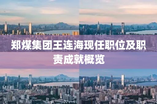 郑煤集团王连海现任职位及职责成就概览