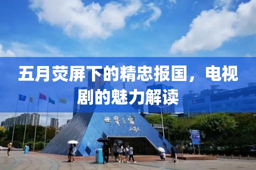 五月荧屏下的精忠报国，电视剧的魅力解读