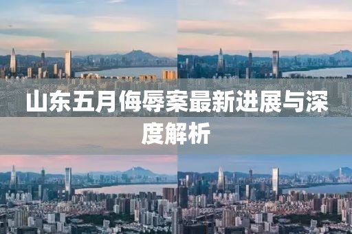 山东五月侮辱案最新进展与深度解析