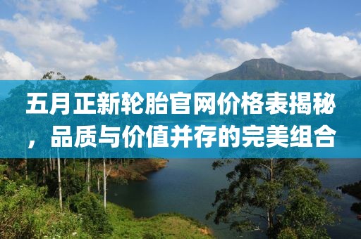 五月正新轮胎官网价格表揭秘，品质与价值并存的完美组合