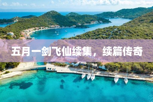 五月一剑飞仙续集，续篇传奇