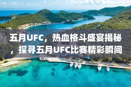 五月UFC，热血格斗盛宴揭秘，探寻五月UFC比赛精彩瞬间
