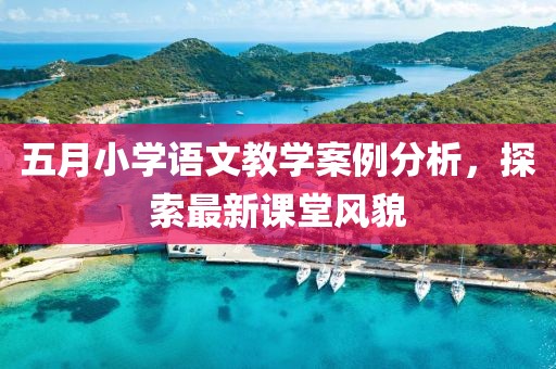 五月小学语文教学案例分析，探索最新课堂风貌
