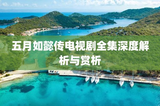 五月如懿传电视剧全集深度解析与赏析
