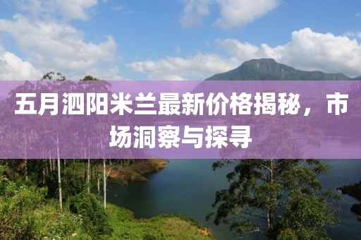 五月泗阳米兰最新价格揭秘，市场洞察与探寻