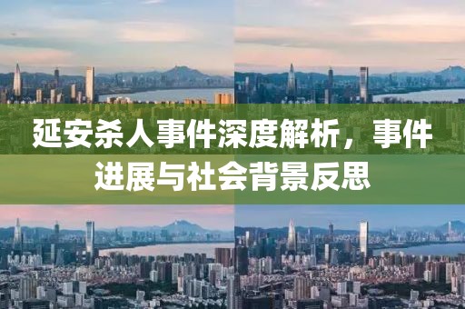 延安杀人事件深度解析，事件进展与社会背景反思
