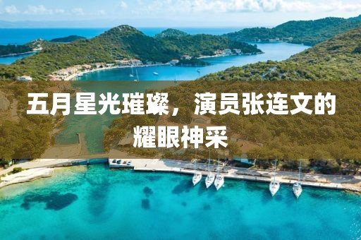 五月星光璀璨，演员张连文的耀眼神采