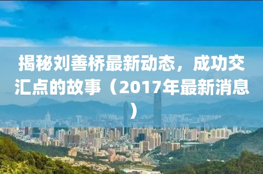 揭秘刘善桥最新动态，成功交汇点的故事（2017年最新消息）