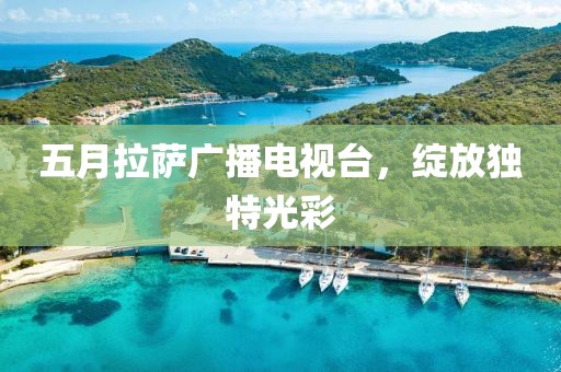 五月拉萨广播电视台，绽放独特光彩