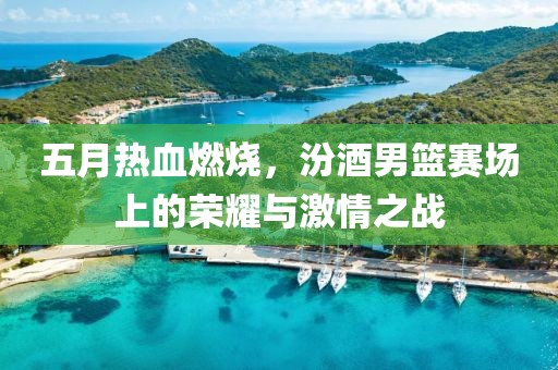 五月热血燃烧，汾酒男篮赛场上的荣耀与激情之战