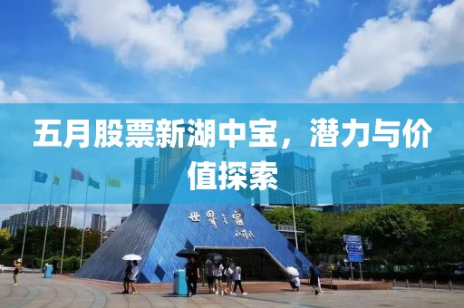 五月股票新湖中宝，潜力与价值探索