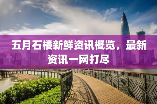 五月石楼新鲜资讯概览，最新资讯一网打尽