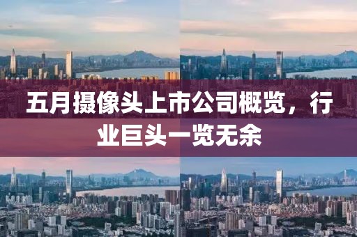 五月摄像头上市公司概览，行业巨头一览无余