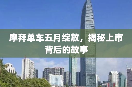 摩拜单车五月绽放，揭秘上市背后的故事