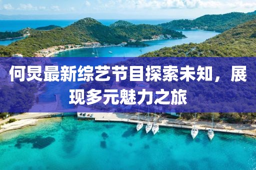 何炅最新综艺节目探索未知，展现多元魅力之旅