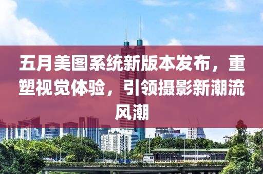 逆光飞翔