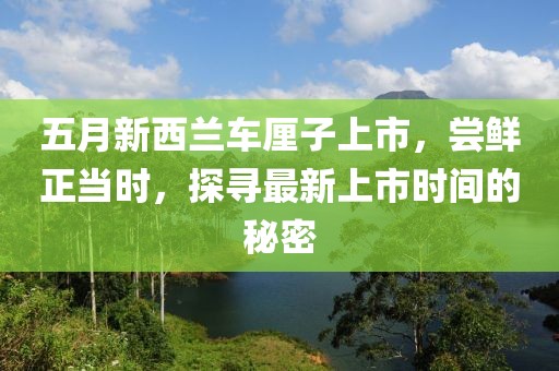五月新西兰车厘子上市，尝鲜正当时，探寻最新上市时间的秘密