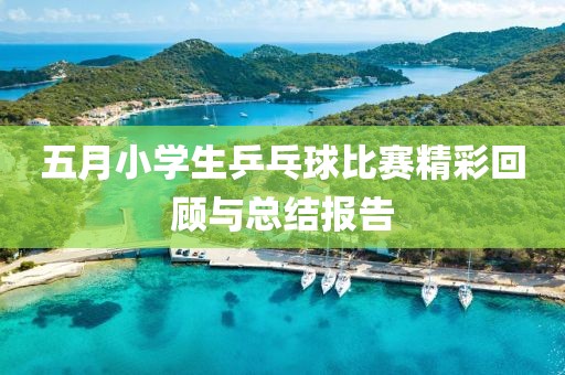 五月小学生乒乓球比赛精彩回顾与总结报告