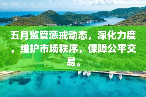 五月监管惩戒动态，深化力度，维护市场秩序，保障公平交易。