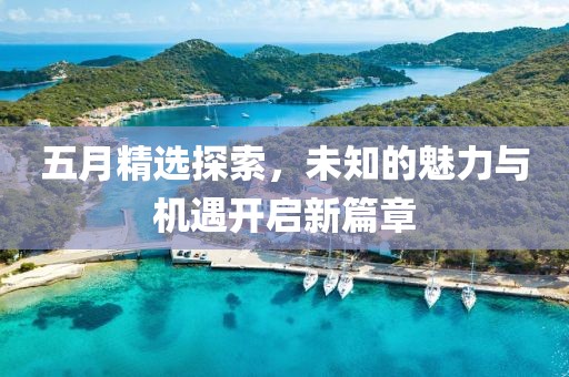 五月精选探索，未知的魅力与机遇开启新篇章