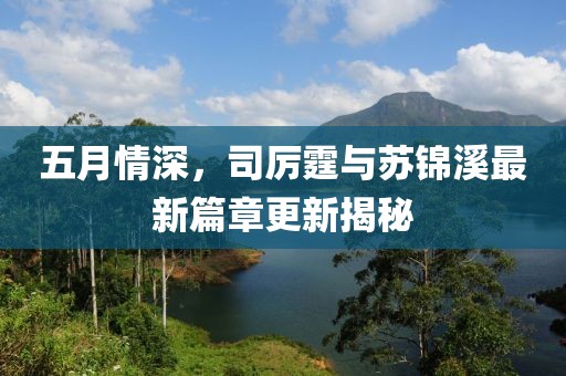 五月情深，司厉霆与苏锦溪最新篇章更新揭秘