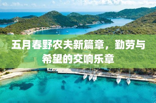 五月春野农夫新篇章，勤劳与希望的交响乐章