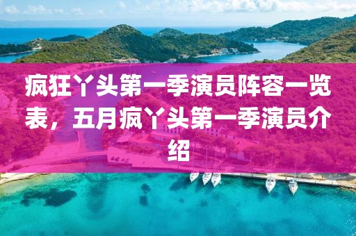 疯狂丫头第一季演员阵容一览表，五月疯丫头第一季演员介绍