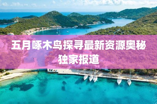 五月啄木鸟探寻最新资源奥秘独家报道