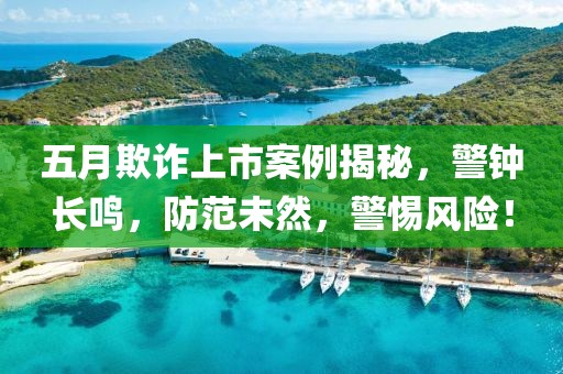 五月欺诈上市案例揭秘，警钟长鸣，防范未然，警惕风险！