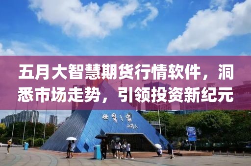 五月大智慧期货行情软件，洞悉市场走势，引领投资新纪元