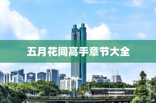五月花间高手章节大全