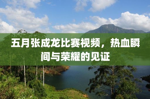 五月张成龙比赛视频，热血瞬间与荣耀的见证