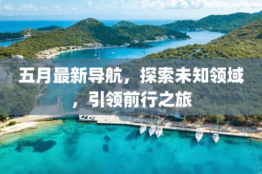 五月最新导航，探索未知领域，引领前行之旅