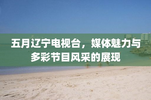 五月辽宁电视台，媒体魅力与多彩节目风采的展现