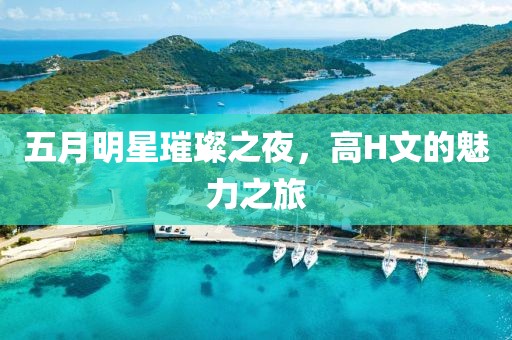 五月明星璀璨之夜，高H文的魅力之旅