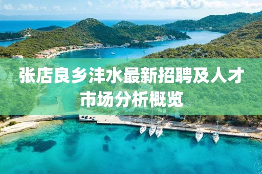 张店良乡沣水最新招聘及人才市场分析概览