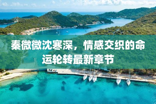 秦微微沈寒深，情感交织的命运轮转最新章节