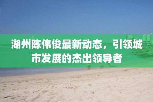 湖州陈伟俊最新动态，引领城市发展的杰出领导者