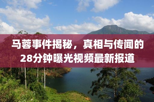马蓉事件揭秘，真相与传闻的28分钟曝光视频最新报道