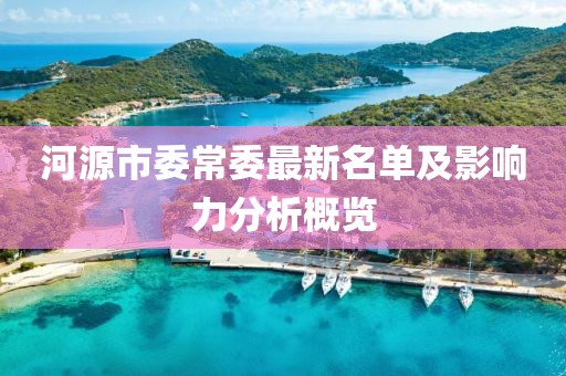 河源市委常委最新名单及影响力分析概览