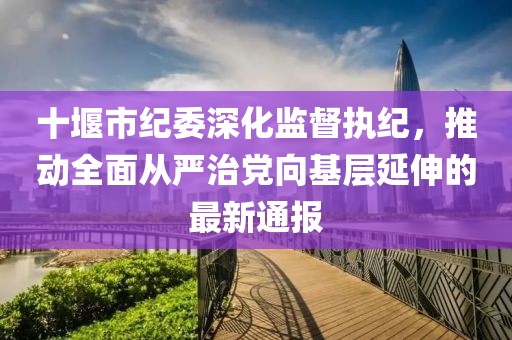 十堰市纪委深化监督执纪，推动全面从严治党向基层延伸的最新通报