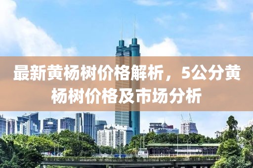 最新黄杨树价格解析，5公分黄杨树价格及市场分析